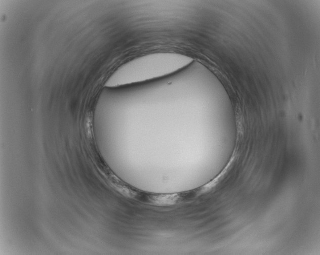 X0000076240191200609280932