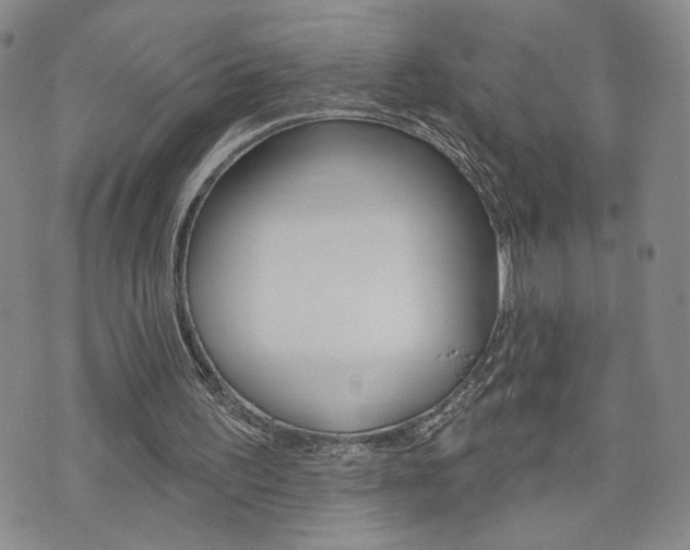 X0000076240195200609280931