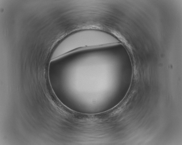 X0000076240201200609280931