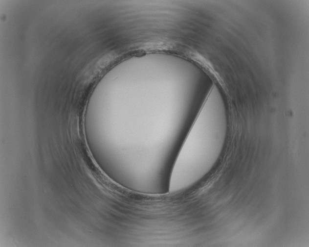 X0000076240205200609280931