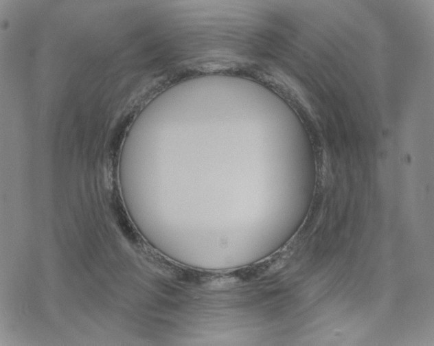 X0000076240210200609280931