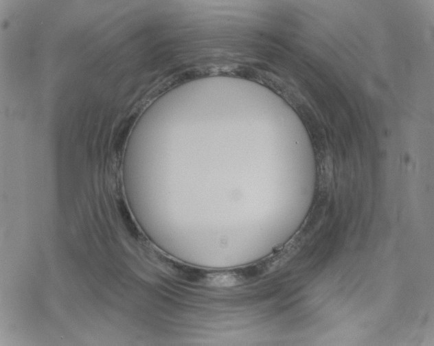 X0000076240218200609280931