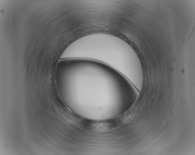 X0000076240221200609280930