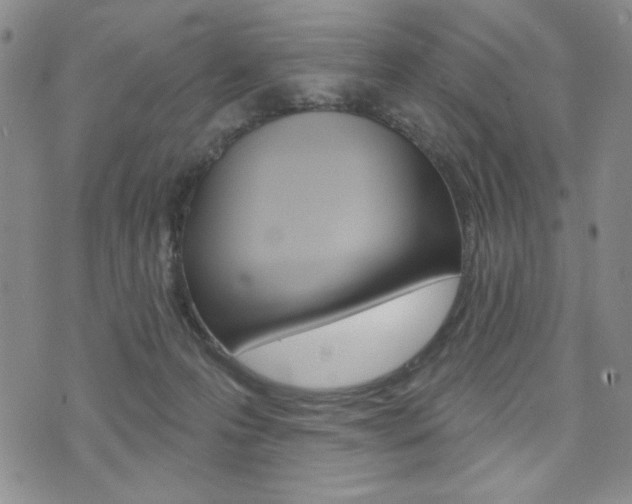 X0000076240223200609280930