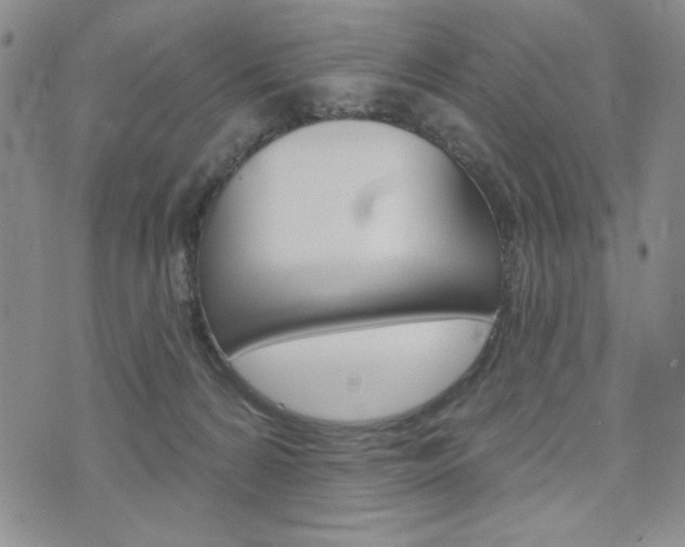X0000076240224200609280930