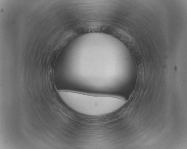 X0000076240225200609280930