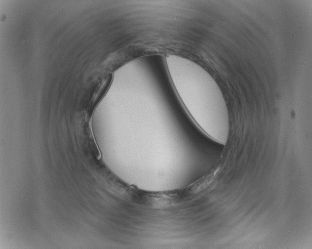 X0000076240229200609280930