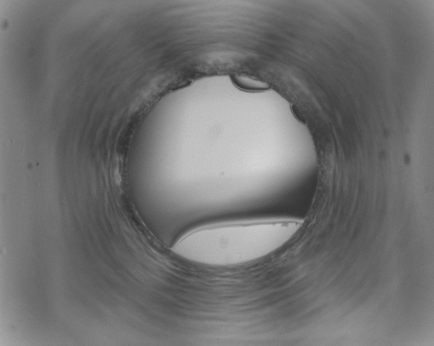 X0000076240232200609280930