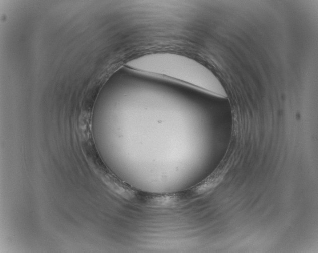 X0000076240237200609280930
