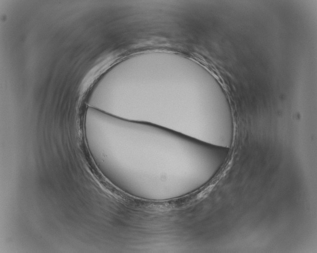 X0000076240245200609280929