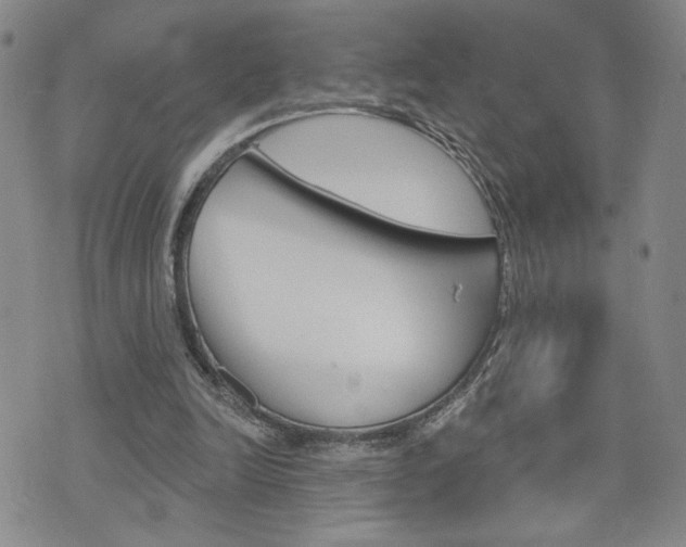 X0000076240246200609280929