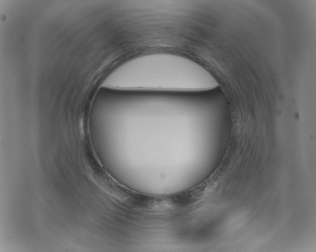 X0000076240262200609280930