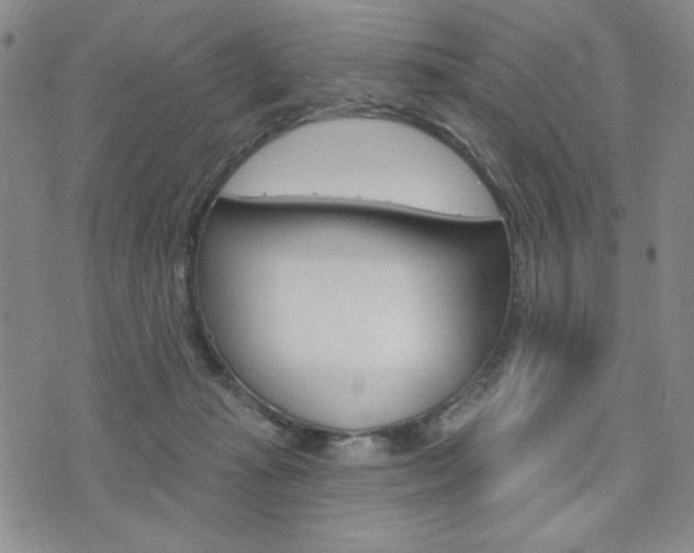 X0000076240269200609280930