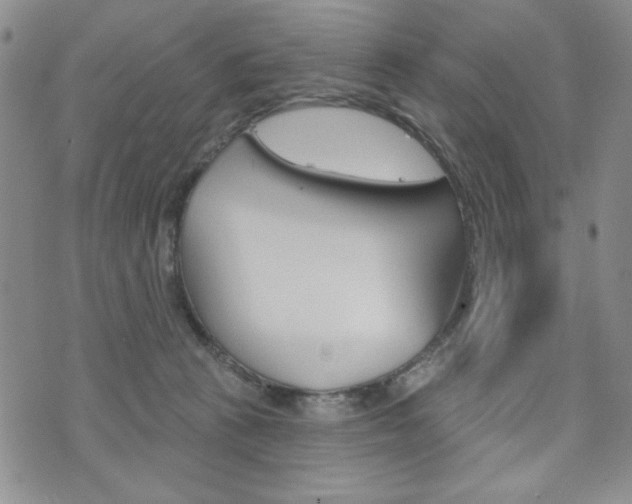 X0000076240273200609280930