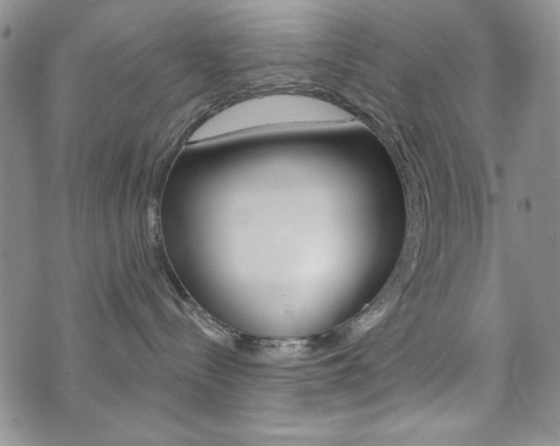 X0000076240288200609280930