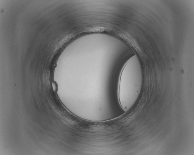 X0000076240300200609280929