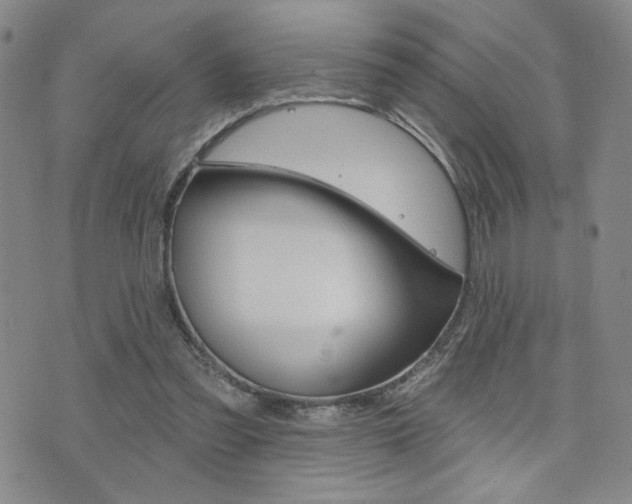 X0000076240301200609280929