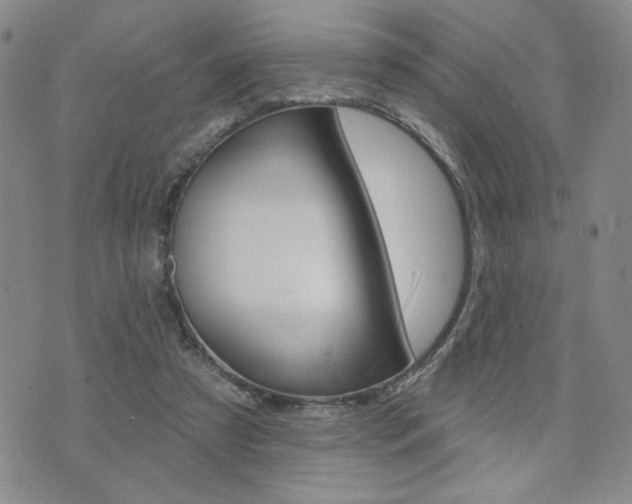 X0000076240305200609280929