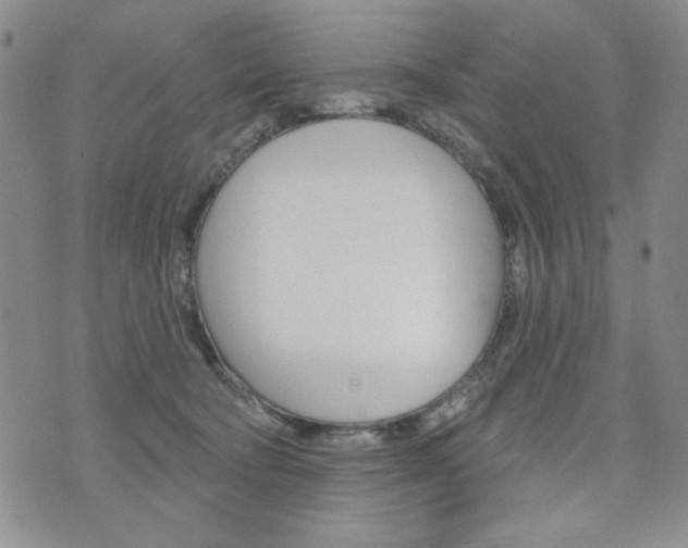 X0000076240322200609280929