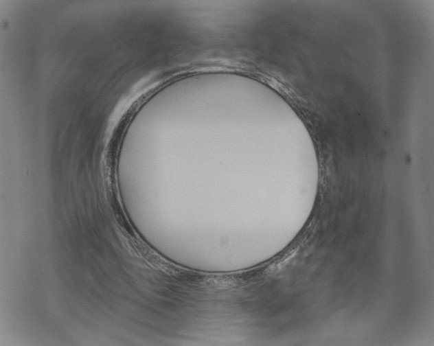 X0000076240343200609280928