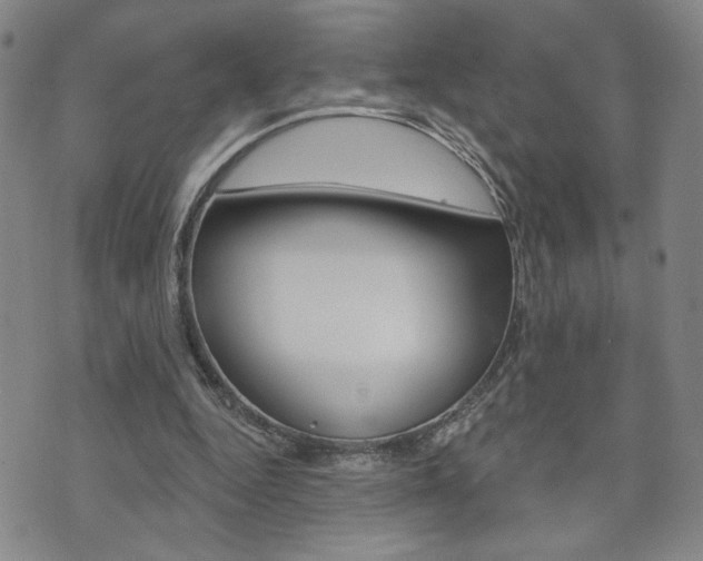 X0000076240344200609280928