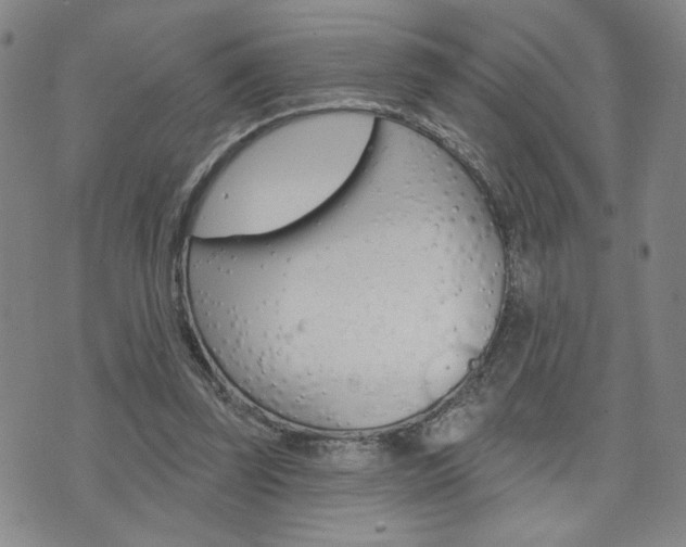 X0000076240347200609280928