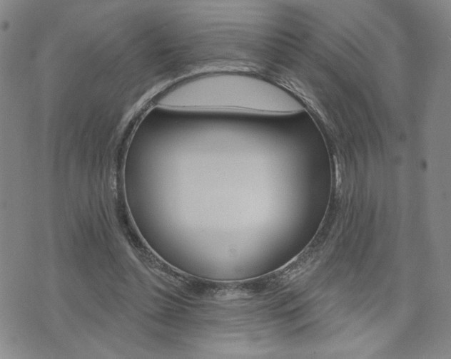 X0000076240348200609280928