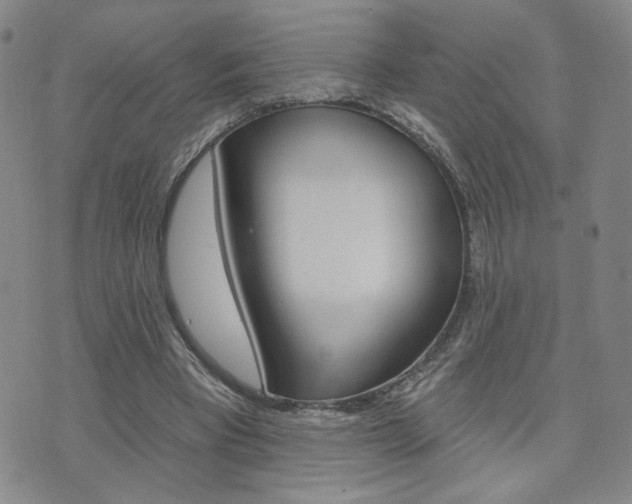 X0000076240393200609280928