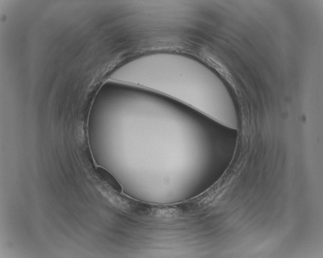 X0000076240401200609280928
