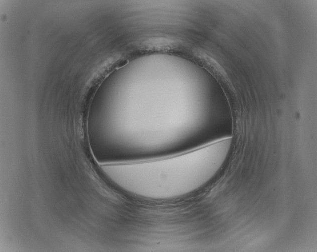 X0000076240403200609280928