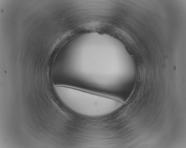 X0000076240404200609280928
