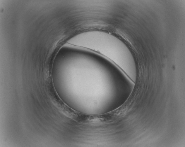 X0000076240407200609280927