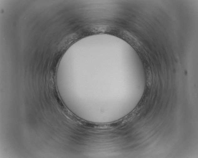 X0000076240414200609280927