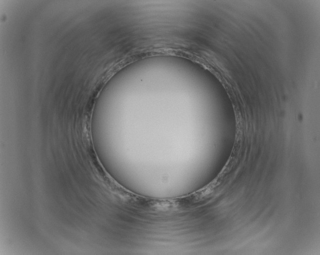 X0000076240415200609280927