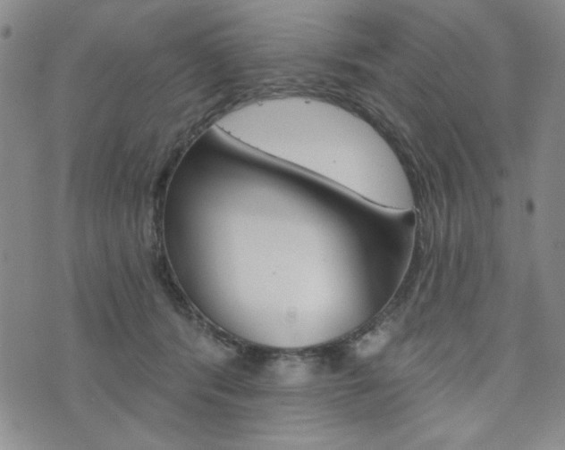 X0000076240416200609280927