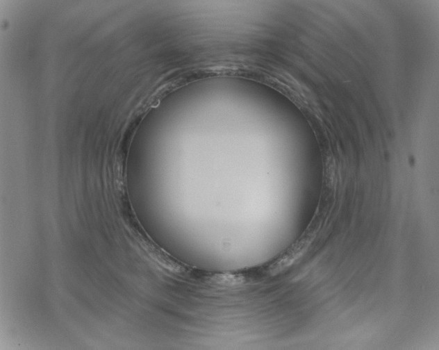 X0000076240421200609280927
