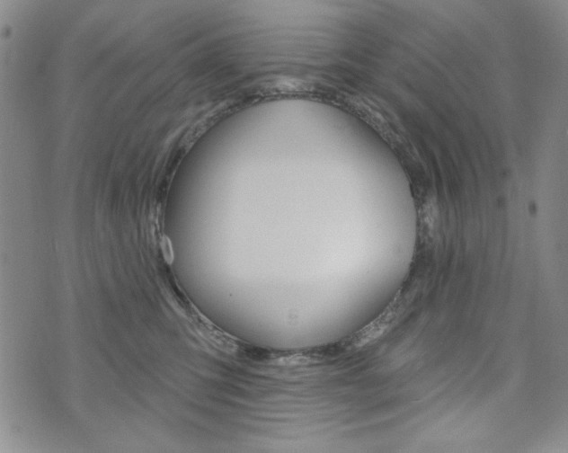 X0000076240423200609280927