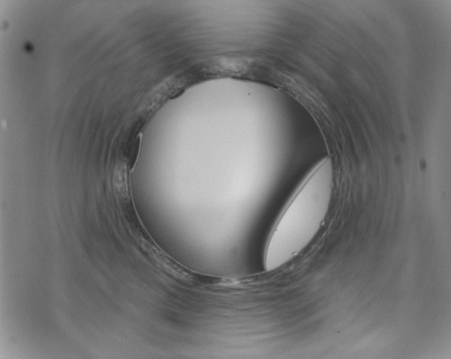 X0000076240425200609280927