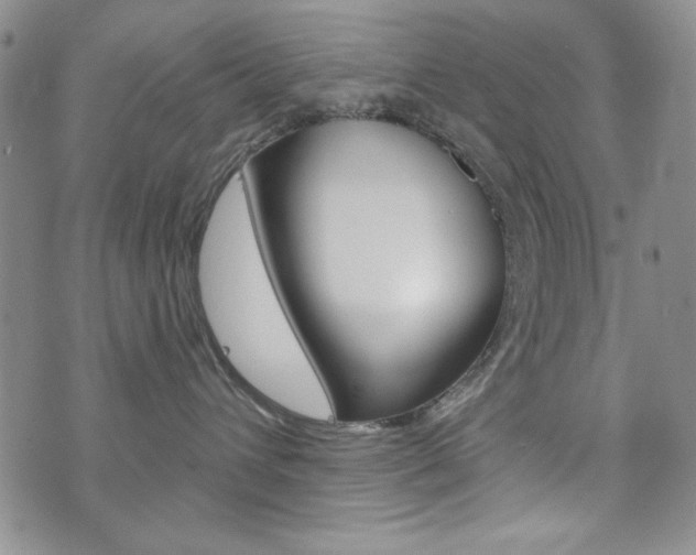 X0000076240432200609280927