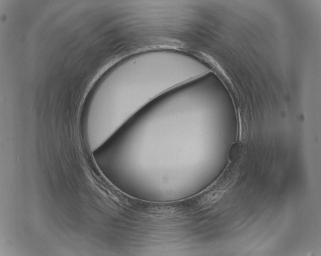 X0000076240435200609280926