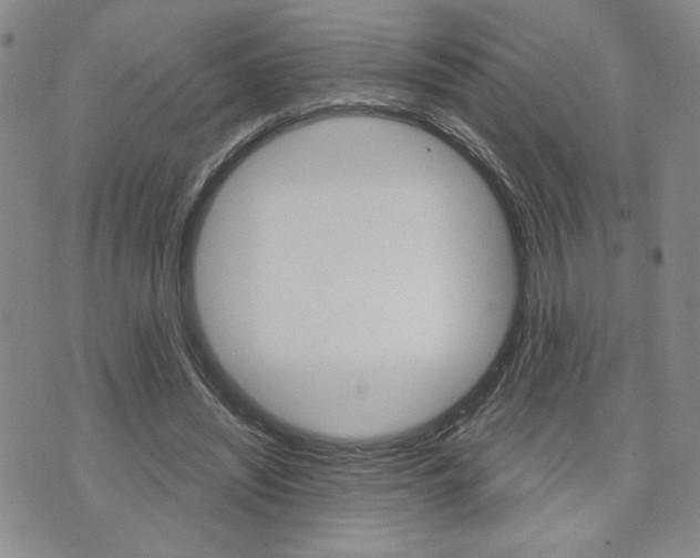 X0000076240444200609280926