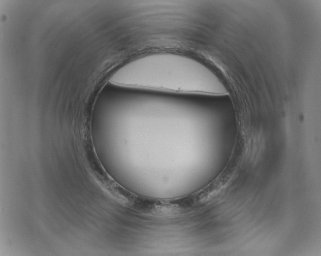 X0000076240455200609280927
