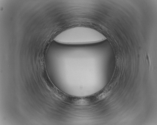 X0000076240460200609280927