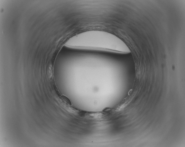 X0000076240478200609280927