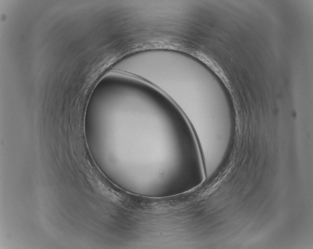 X0000076240481200609280926