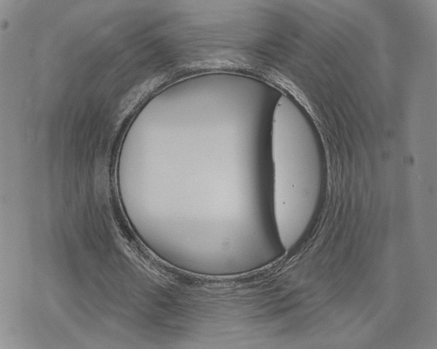 X0000076240482200609280926