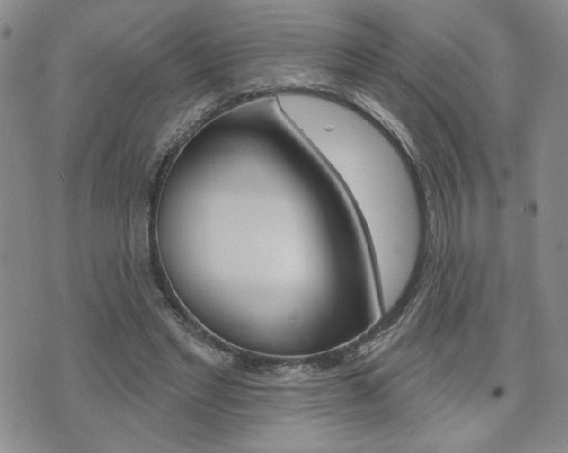 X0000076240493200609280926