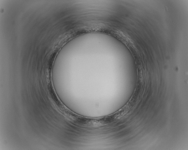 X0000076240498200609280926