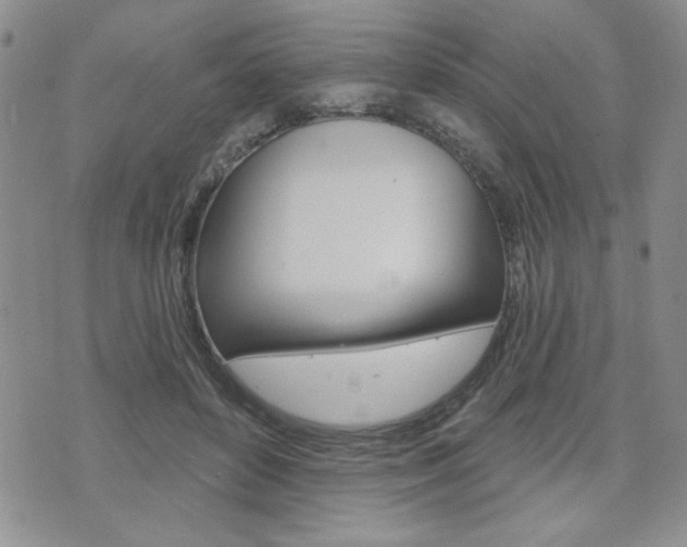 X0000076240504200609280926