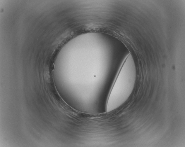 X0000076240508200609280926